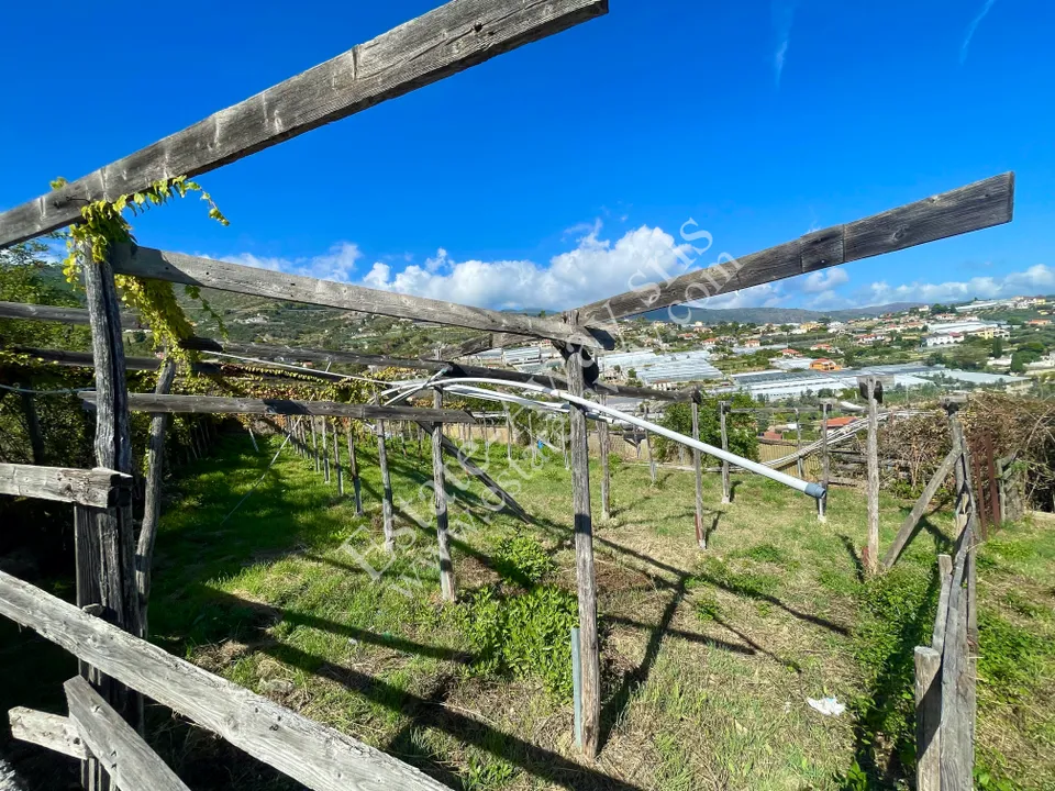 Landejendom i Sanremo, Imperia - foto 5